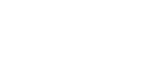 Paragon white logo